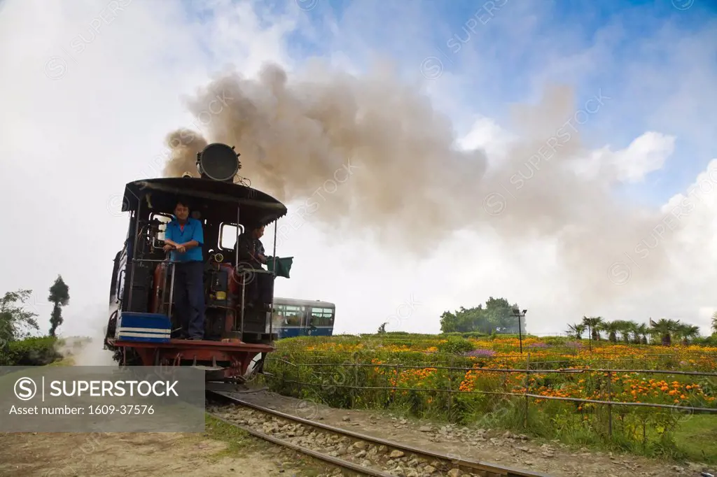 India, West Bengal, Darjeeling, Batasia Loop, Steam train of the Darjeeling Himalayan Railway