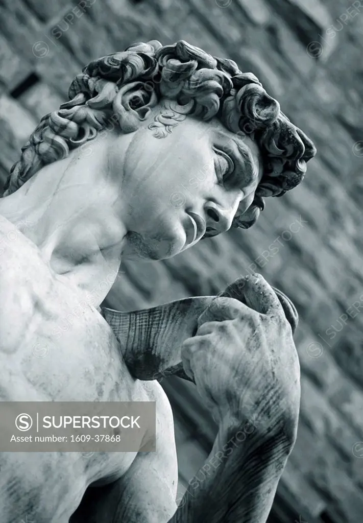 Statue of David, Piazza della Signoria, Florence, Tuscany, Italy
