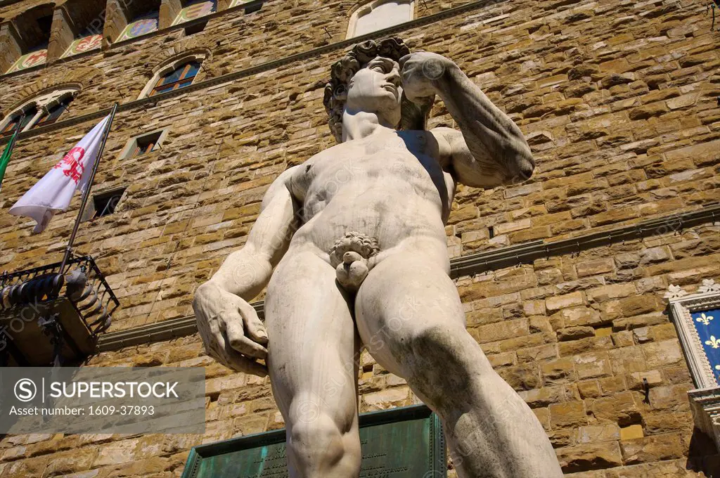 Michelangelo´s David, Piazza della Signoria, Palazzo Vecchio, Florence, Italy