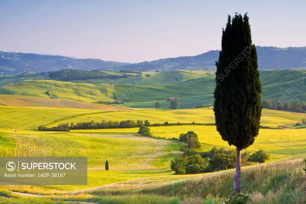 Landscale near Pienza, Val d´ Orcia, Tuscany, Italy