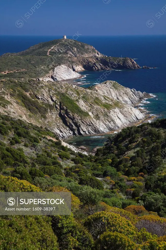 Italy, Sardinia, Southwest Sardinia, Capo Malfatano landscape