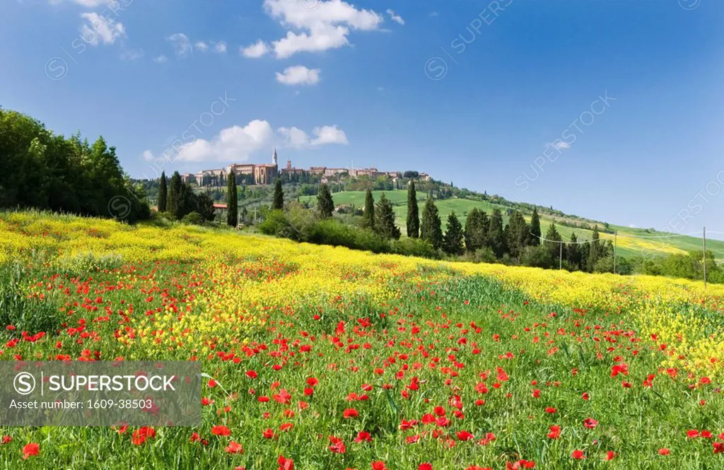 Hill town Pienza and field of poppies, Tuscany, Italy