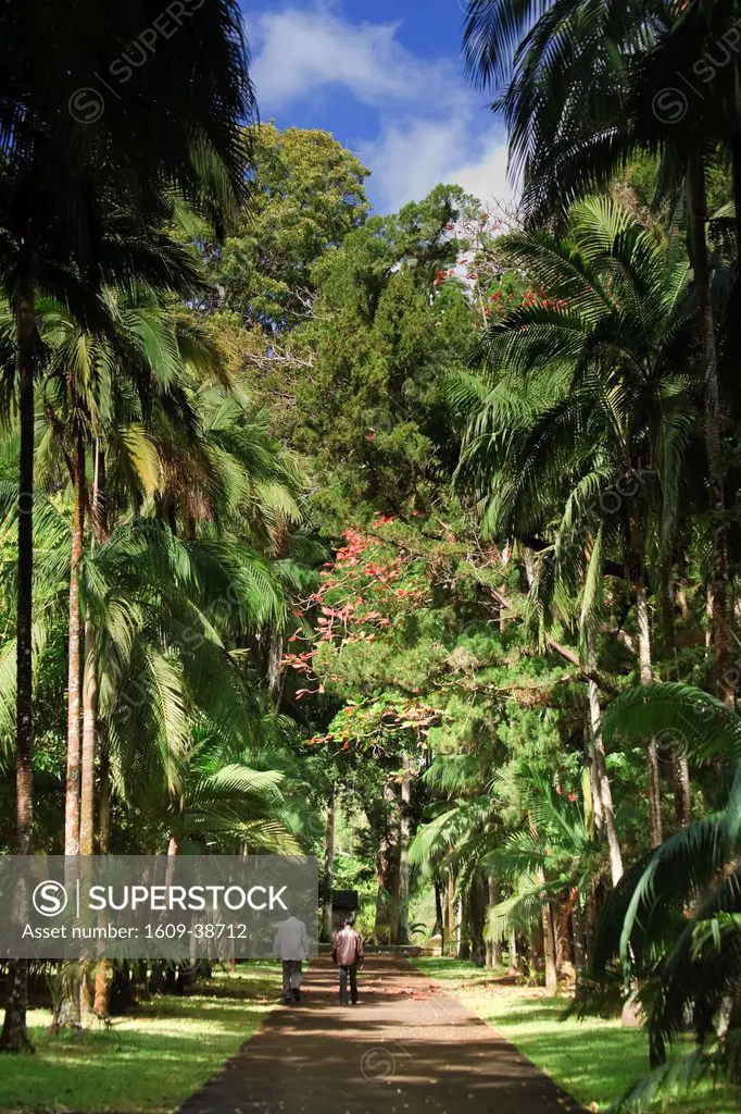Sir Seewoosagur Ramgoolam Botanical Gardens, Pamplemousses, Mauritius, Indian Ocean