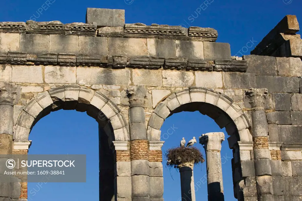 Basilica Ruins, Roman town of Volubilis, Morocco