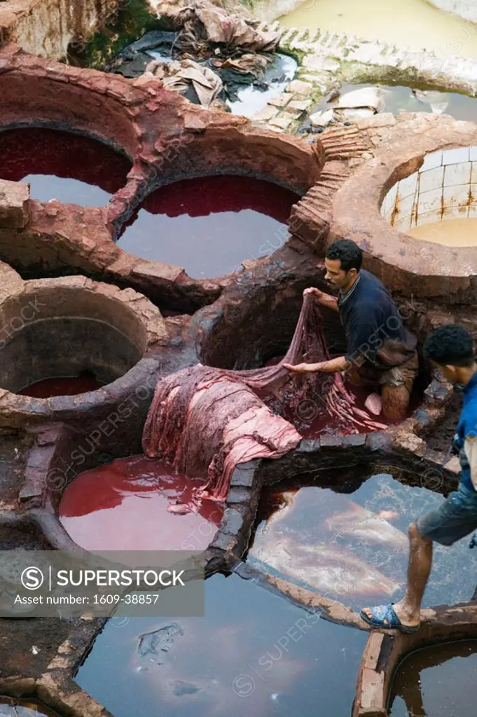 Traditional Tanneries, Fes El-Bali (Old Fes), Fes, Morocco