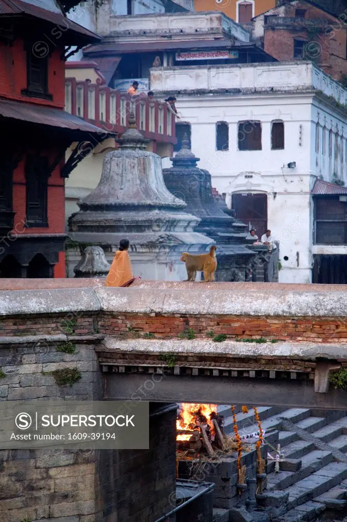 Pashupatinath, Kathmandu, Nepal