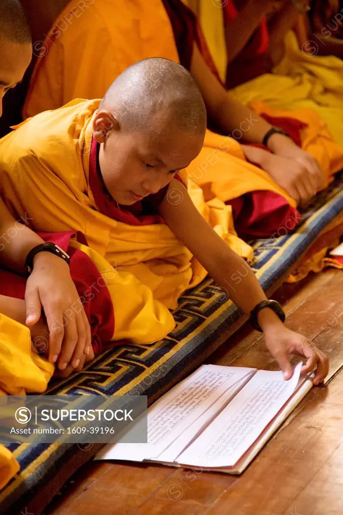 Boy Monk reading at Tibetan Buddhist Monastery, Kathmandu, Nepal
