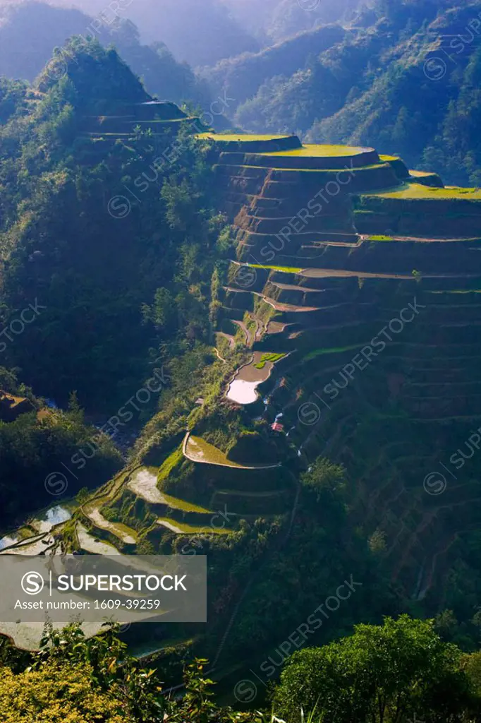Rice terraces of Banaue, Luzon Island, Philippines