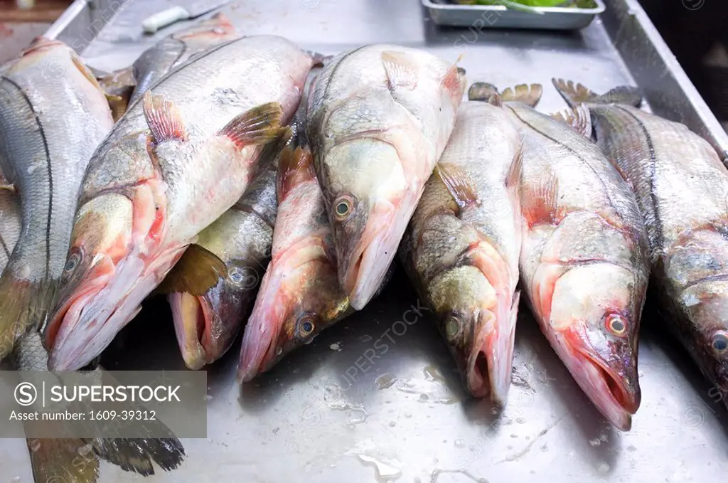 Panama, Panama City, El Mercado del Mariscos, Fish Market, Red Snapper For Sale
