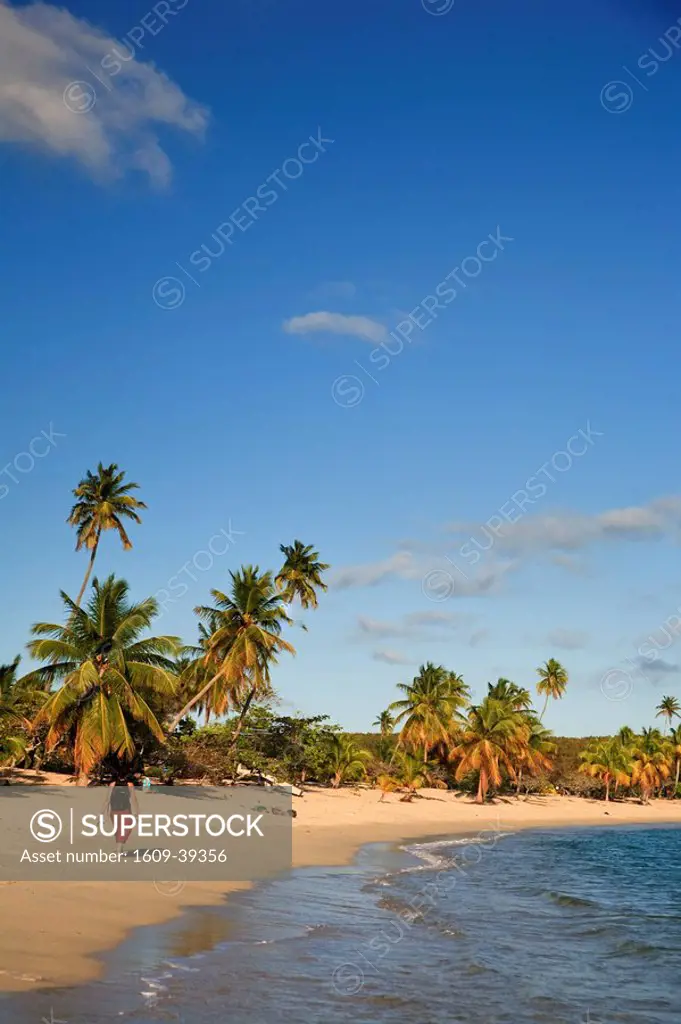 Puerto Rico, Vieques Island, Sun Bay Beach