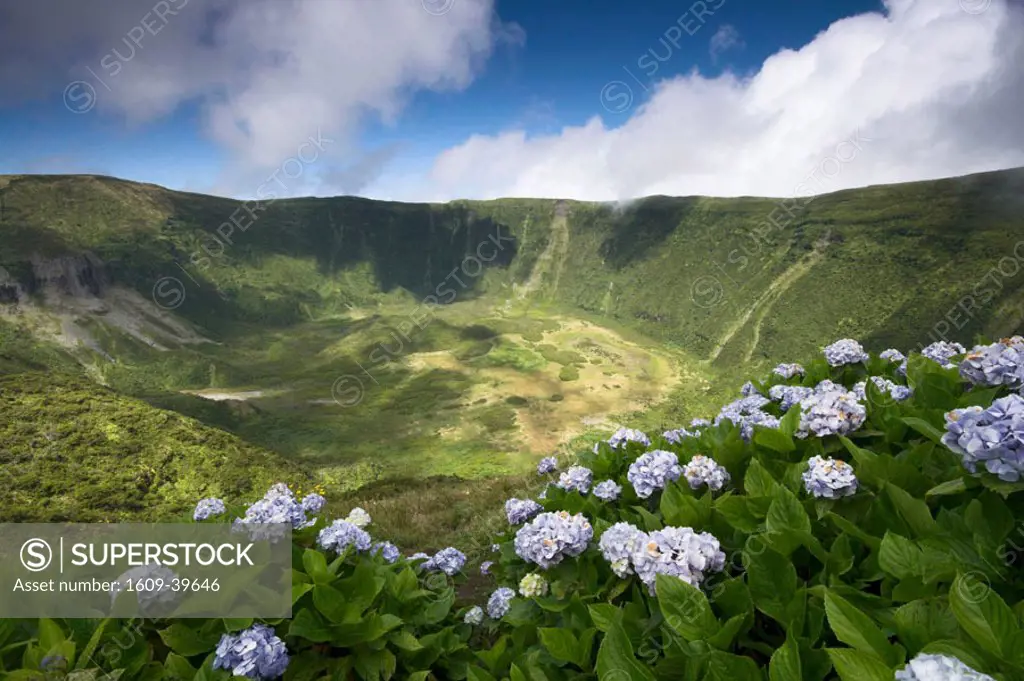 Volcanic crater, Reserva Natural da Caldeira do Faial, Faial Island, Azores, Portugal