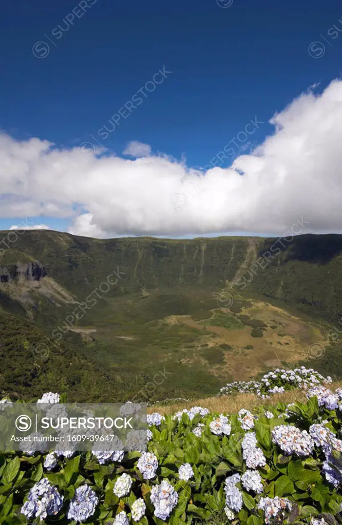 Volcanic crater, Reserva Natural da Caldeira do Faial, Faial Island, Azores, Portugal
