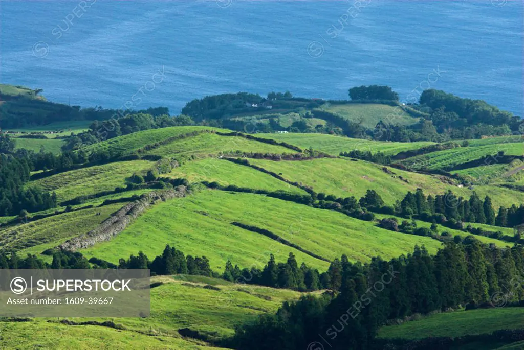 Sao Miguel Island, Azores, Portugal