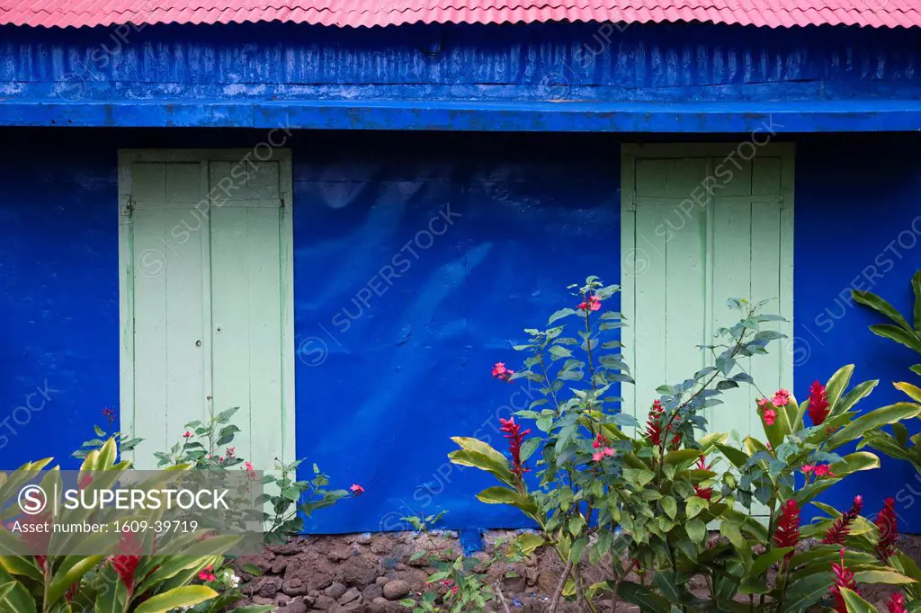 Reunion Island, East Reunion, Piton Ste_Rose, blue Creole house with Red Ginger flowers, alpinia purpurata