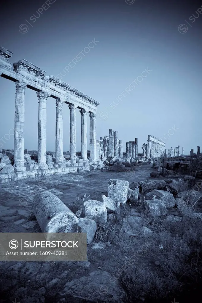 Syria, Apamea Afamia Archaeological Site founded 3rd Century BC, 2km Cardo Roman Colonnade Main Street