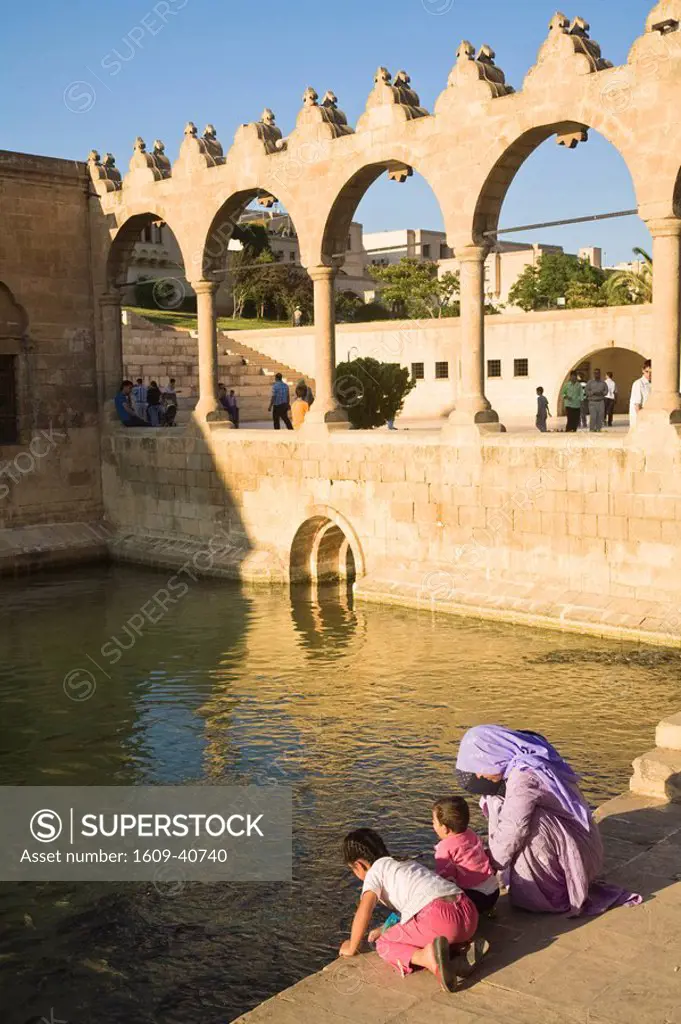 Turkey, Eastern Turkey, Sanliurfa Urfa, Golbasi, Rizvaniye Vakfi Camil and Medressa, People looking at sacred carp in pool