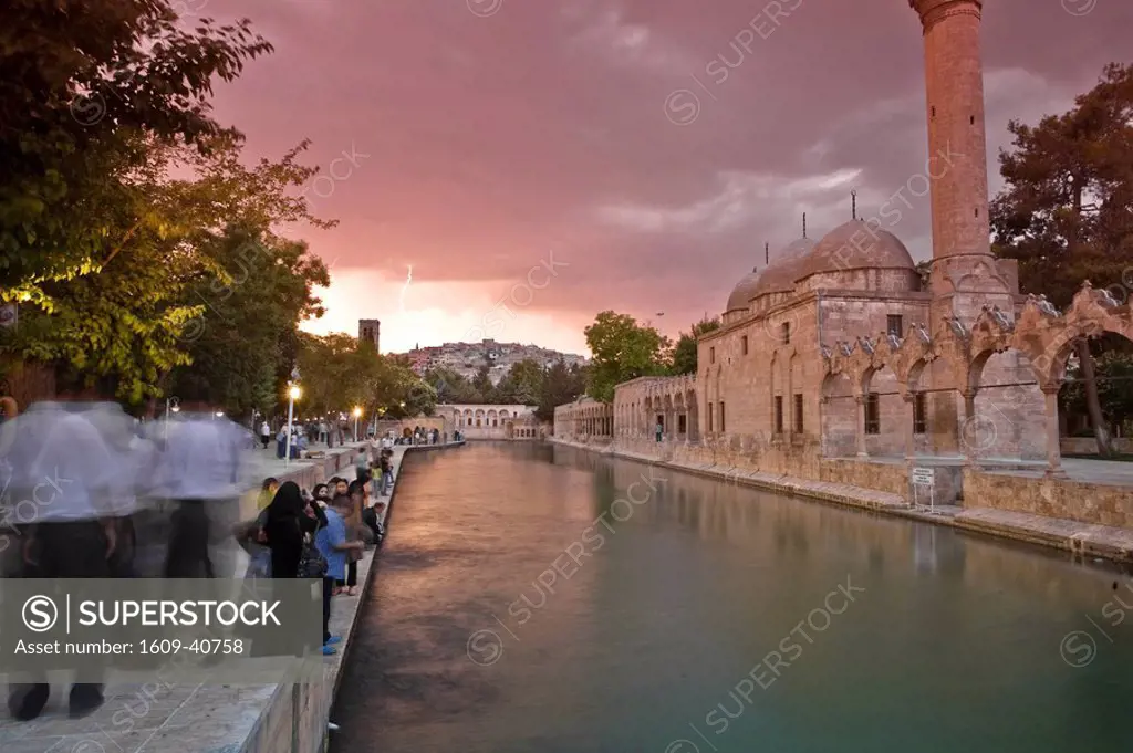 Turkey, Eastern Turkey, Sanliurfa Urfa, Golbasi, Balikli Gol, Rizvaniye Vakfi Camil and Medressa, pool filled with sacred carp