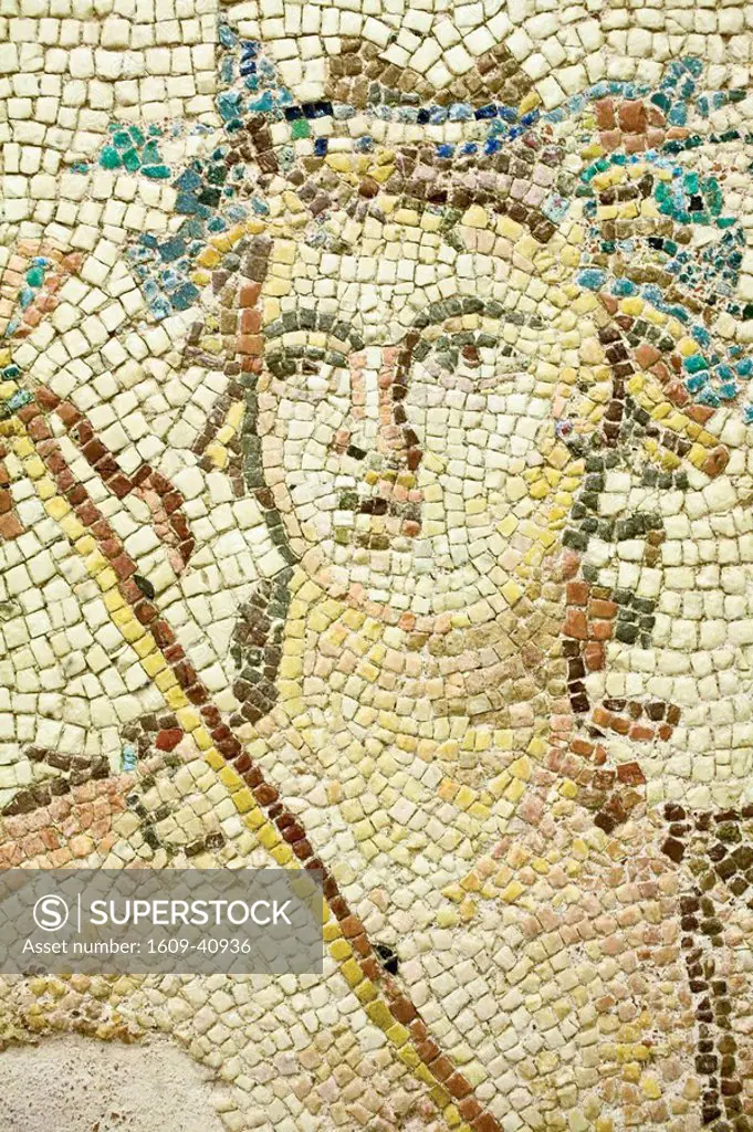 Turkey, Eastern Turkey, Gaziantep _ Antep, Museum, Mosaic from Roman site of Belkis Zeugma