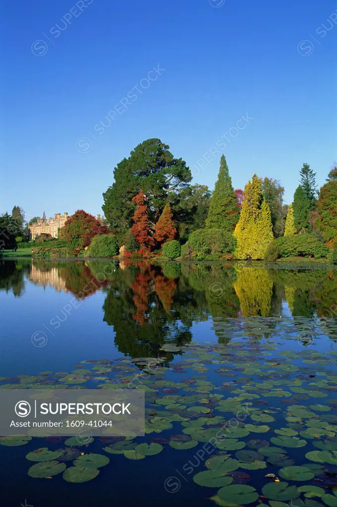 England, Sussex, Autumn Leaves in Sheffield Park Garden