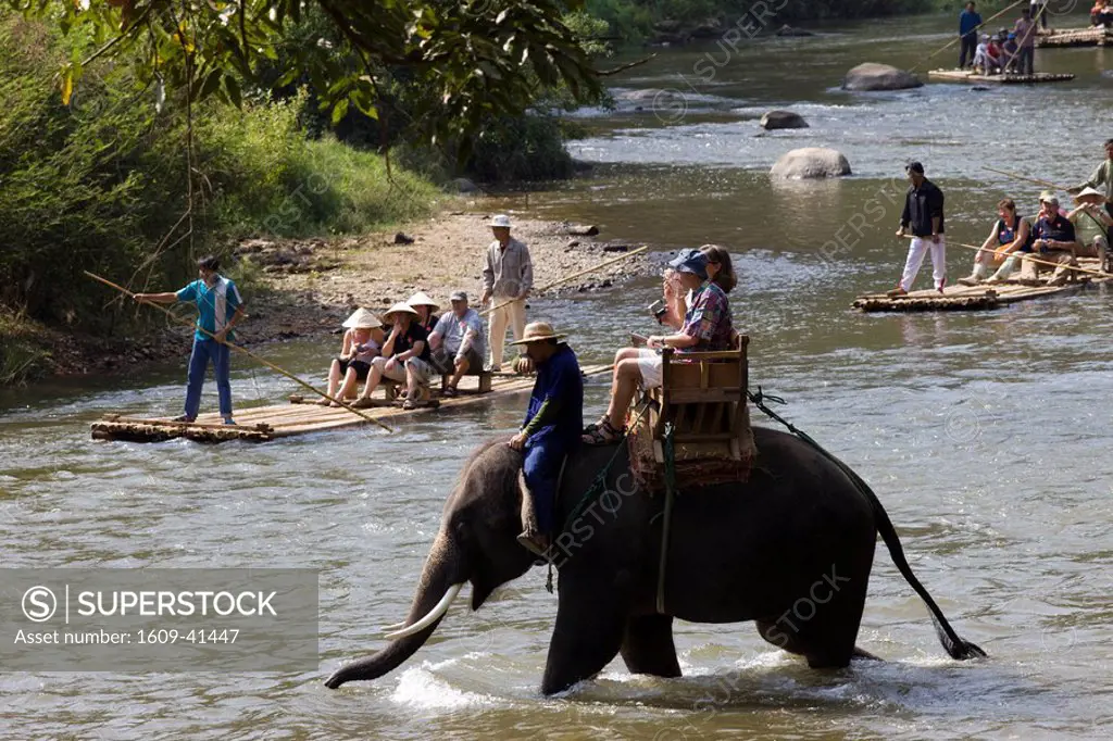 Thailand, Chiang Mai, Elephant Camp, Tourist Elephant Trekking