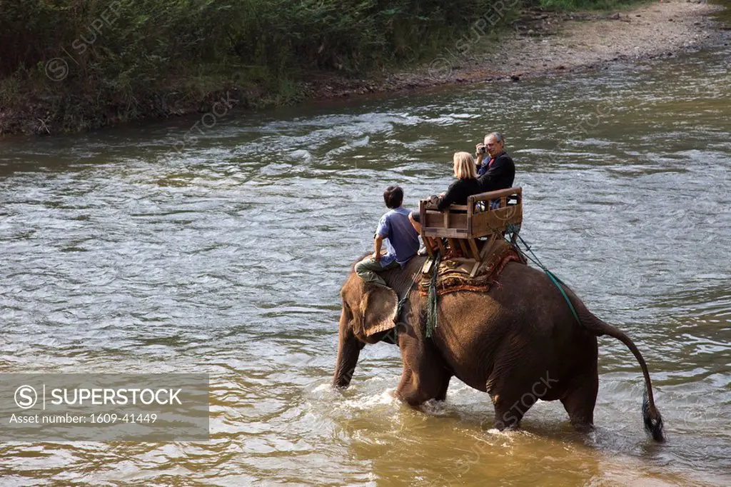 Thailand, Chiang Mai, Elephant Camp, Tourist Elephant Trekking