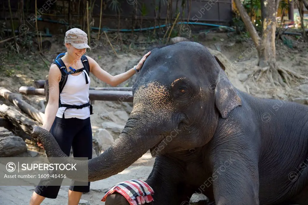Thailand, Chiang Mai, Elephant Camp, Female Tourist Posing with Elephant