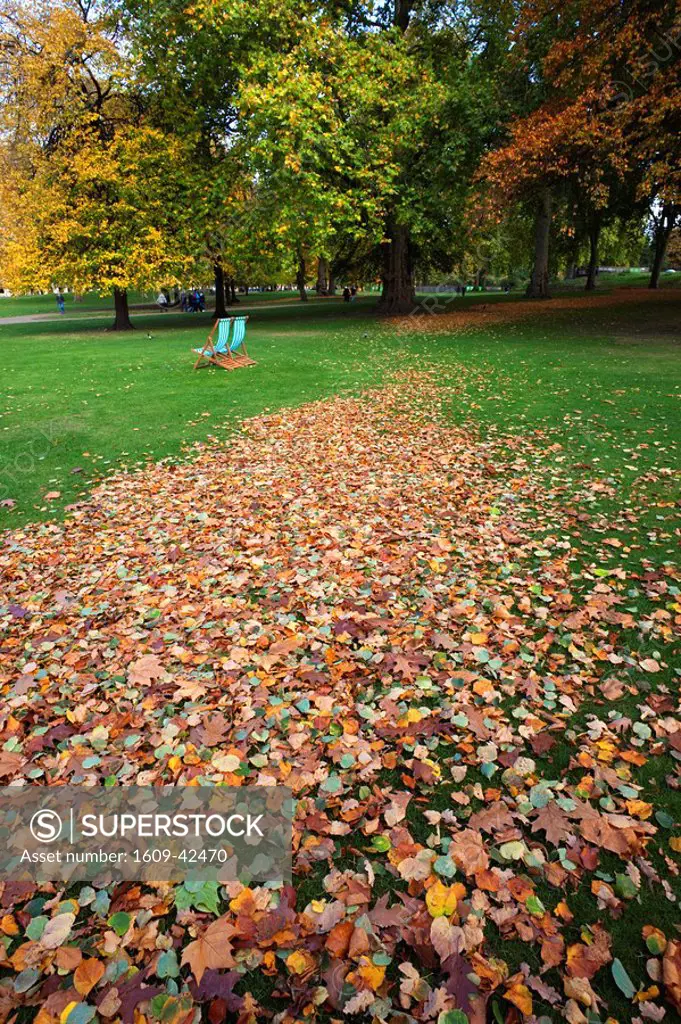 England, London, St.James Park, Autumn Leaves