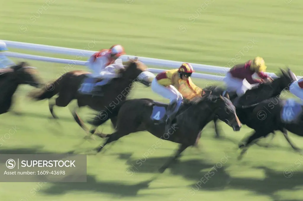 Horse racing, Bath, North East Somerset, UK