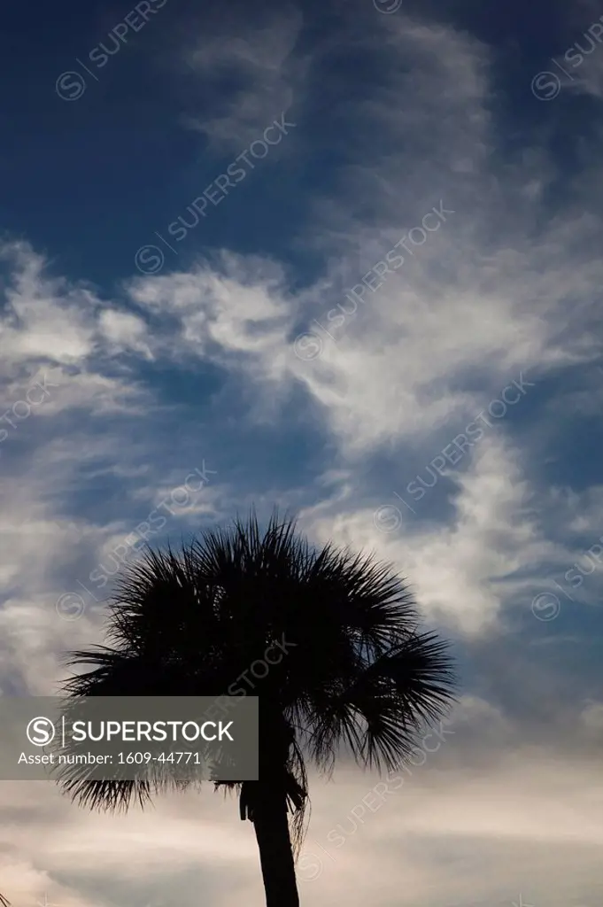 USA, Florida, St. Petersburg Beach, palms and sky