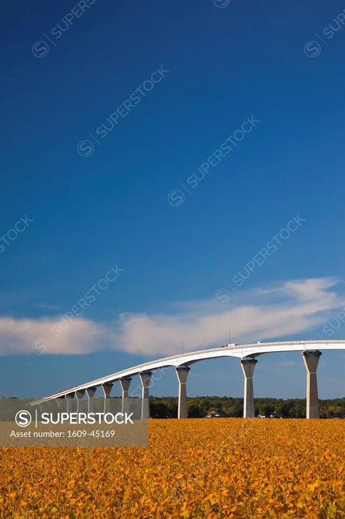 USA, Maryland, Western Shore of Chesapeake Bay, Solomons, Patuxent River Bridge