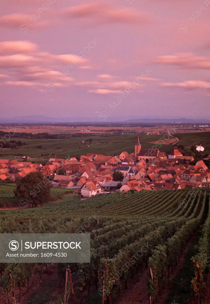 Blienschwiller, Alsace, France