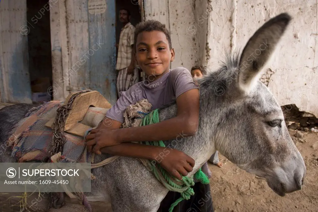 Yemeni boy with his donkey, Zabid, Yemen
