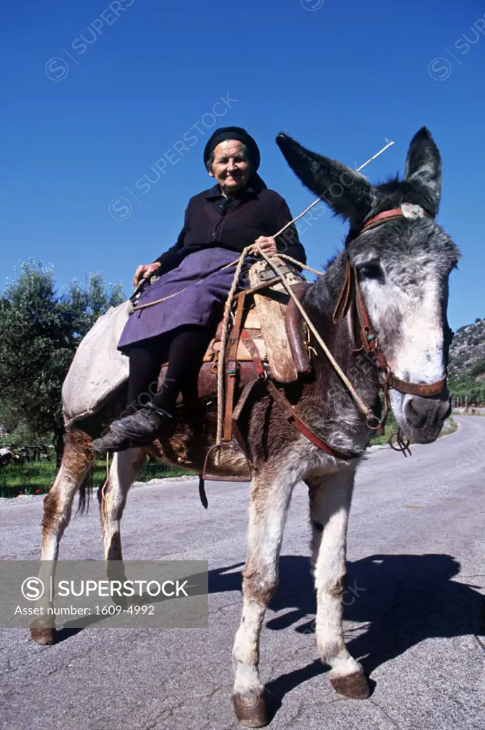 Woman on Donkey, Lasithi Plateau, Lasithi Province, Crete, Greece