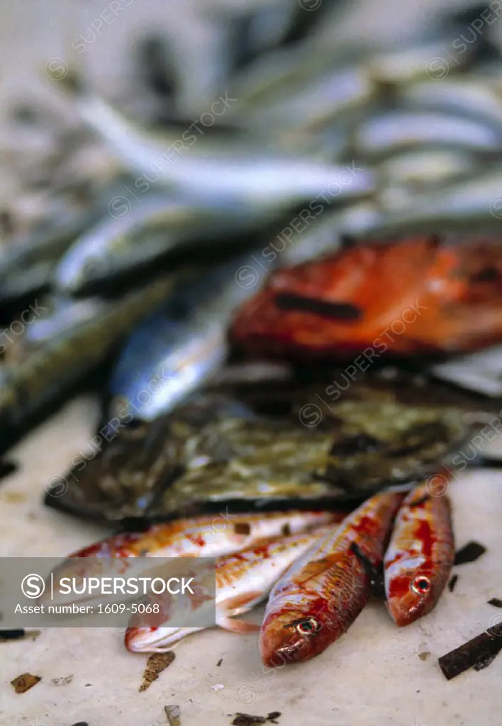 Fish Market, Mykonos, Greece