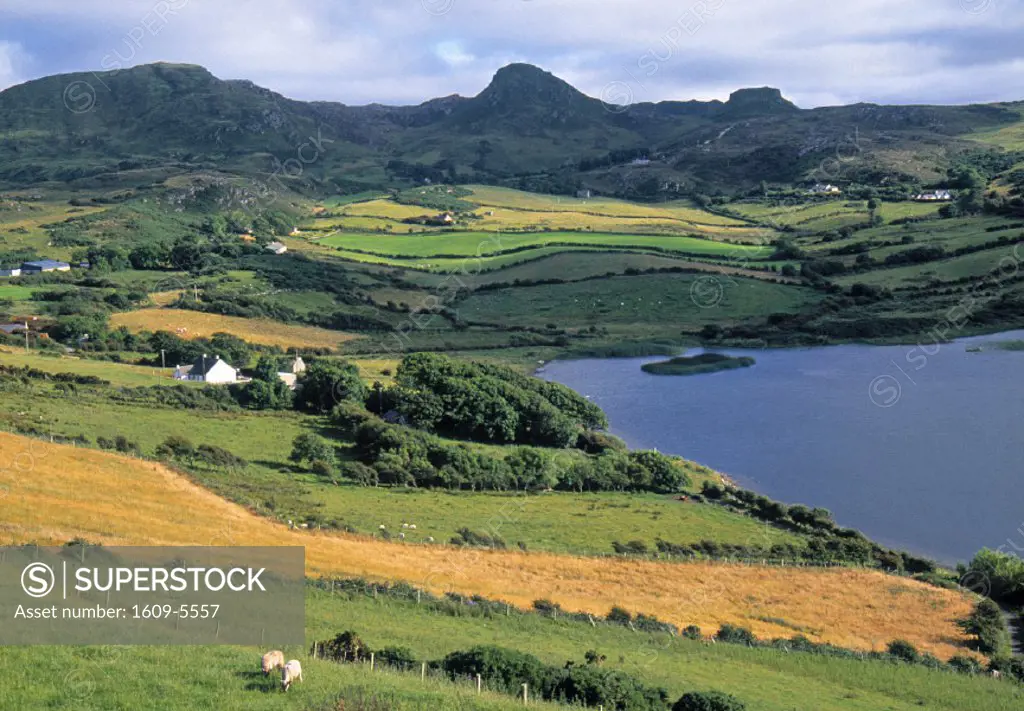 Rural landscape, Donegal Peninsula, Co. Donegal, Ireland