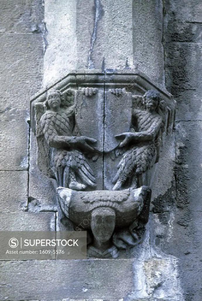 Stone Carving, Sligo Abbey, Co. Sligo, Ireland
