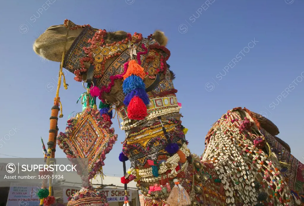 Pushkar Camel Fair, Pushkar, Rajasthan, India