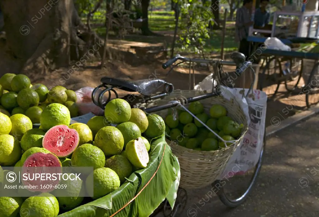 Guavas for sale, Cubbon Park, Bangalore, Karnataka, India