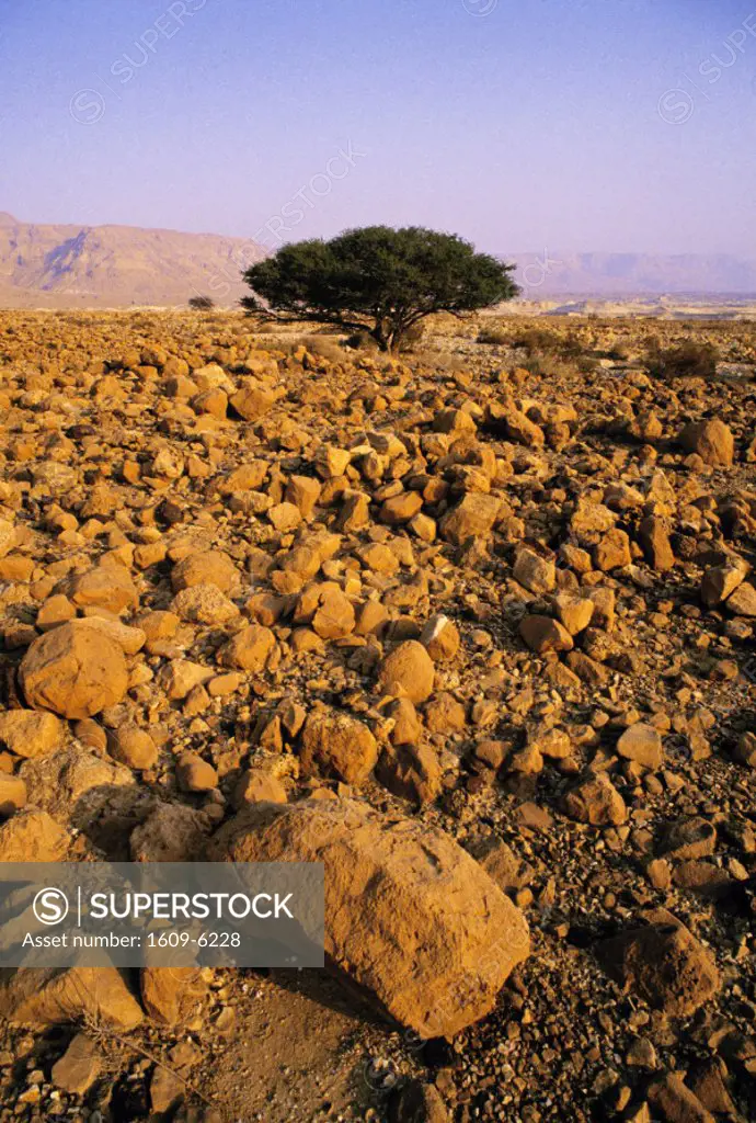 Dead Sea landscape, Israel