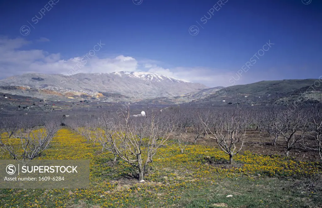 Mt. Hermon, Golan Heights, Israel