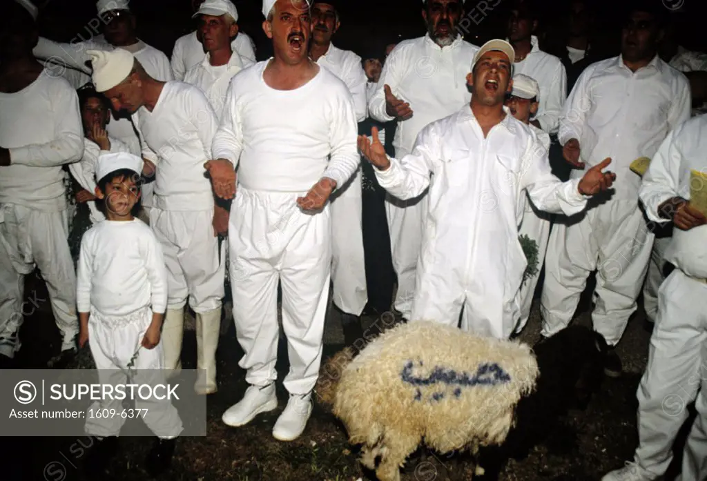 Samaritans at Passover sacrifice, Mount Gerizim, Israel