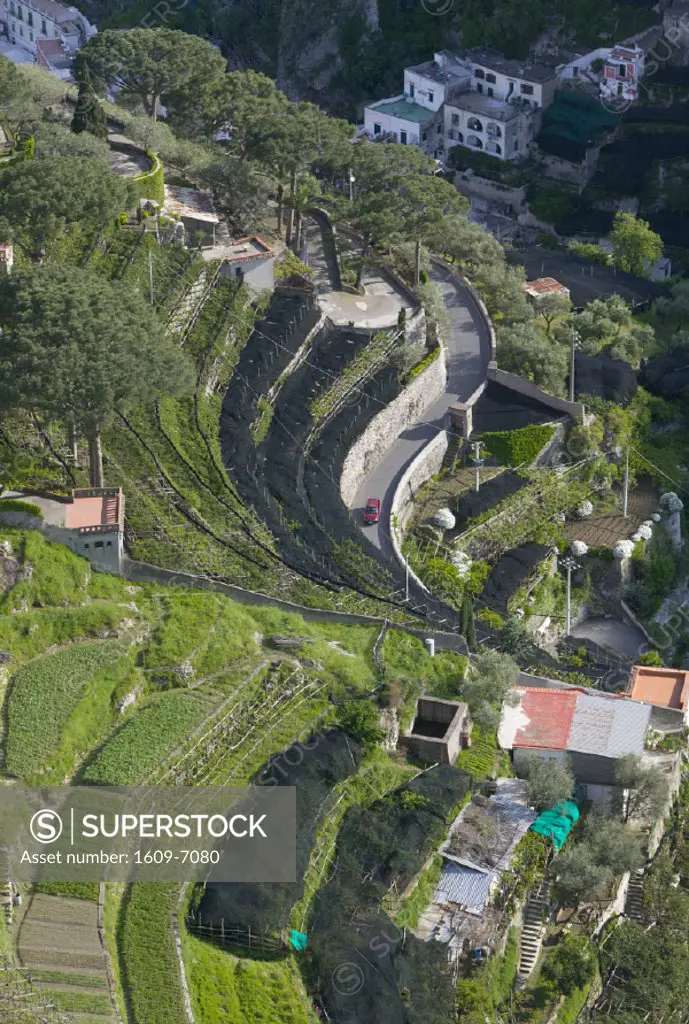Terraced Farm, Ravello, Amalfi Coast, Campania, Italy