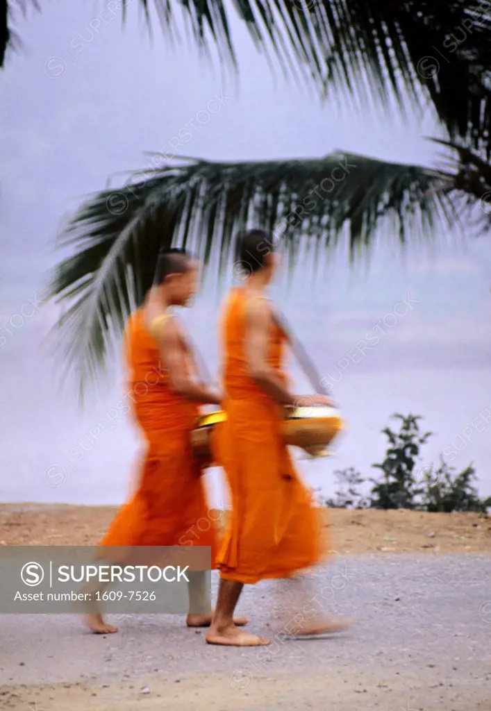 Monks collecting Alms, Luang Prabang, Laos