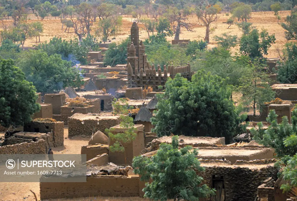 Village of Telli, Mali