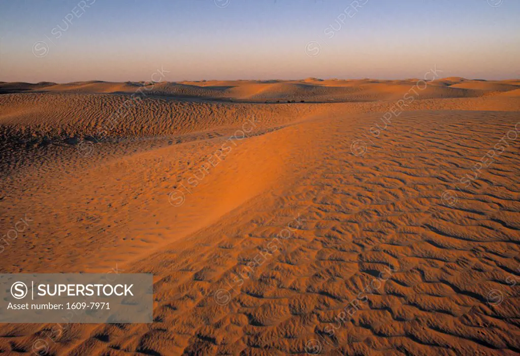 Sahara Desert, Douz, Tunisia