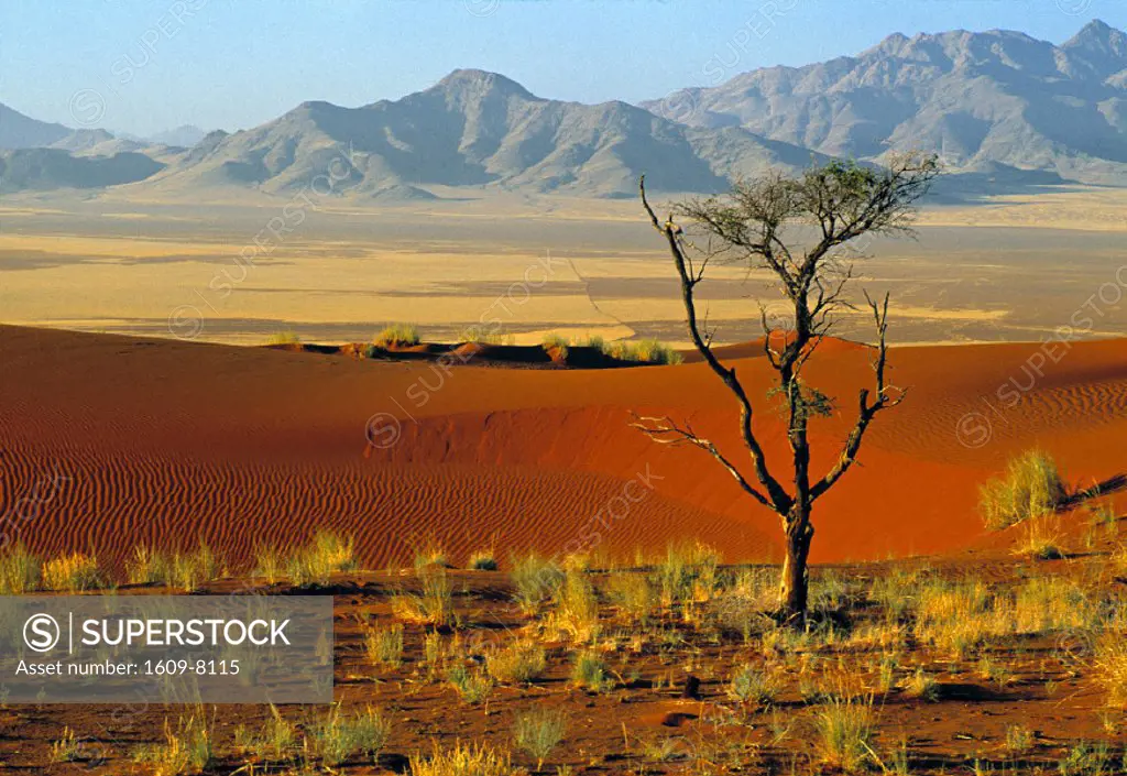 Namibrand Nature Reserve, Namibia