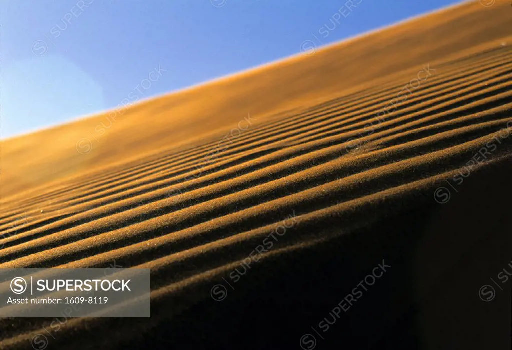 Sand Dune, Sossusvlei, Namibia