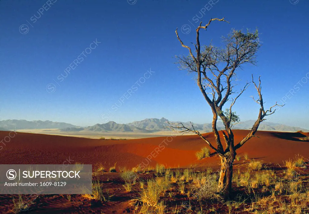 Namibrand Nature Reserve, Namibia