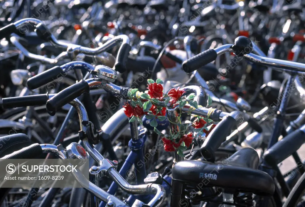 Bikes, Leiden, Zuid, Holland
