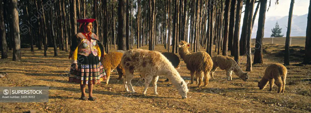 Woman with Lamas, Peru